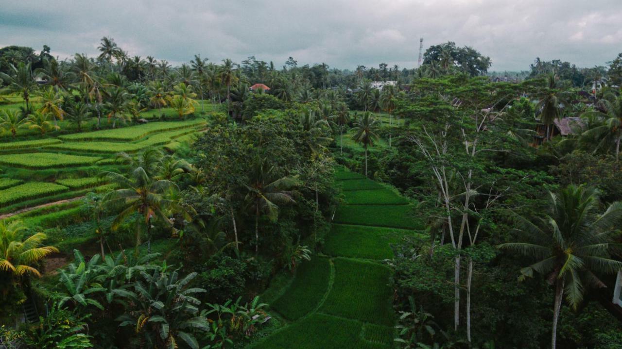 River Sakti Ubud By Prasi Eksteriør bilde